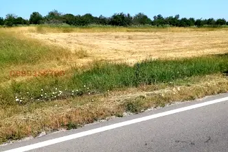 Парцел в Монтана, с. Долно Церовене