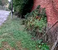 Снимка 3 — Парцел в Монтана, с. Долно Озирово