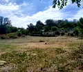 Снимка 4 — Парцел в Монтана, с. Горно Церовене