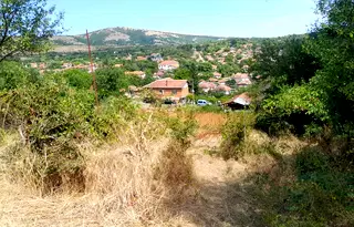 Парцел в Монтана, с. Горно Церовене
