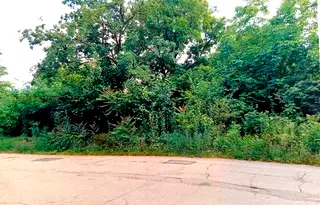 Парцел в Монтана, с. Якимово