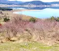 Снимка 2 — Парцел в Пазарджик, Батак