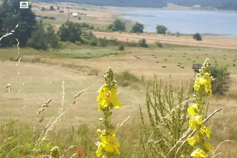 Парцел в Пазарджик, Батак