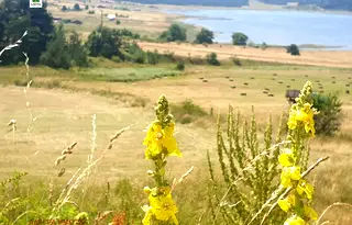 Парцел в Пазарджик, Батак