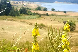 Парцел в Пазарджик, Батак