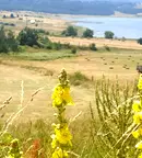 Парцел в Пазарджик, Батак
