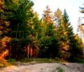 Снимка 2 — Парцел в Пазарджик, Батак