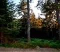 Снимка 5 — Парцел в Пазарджик, Батак