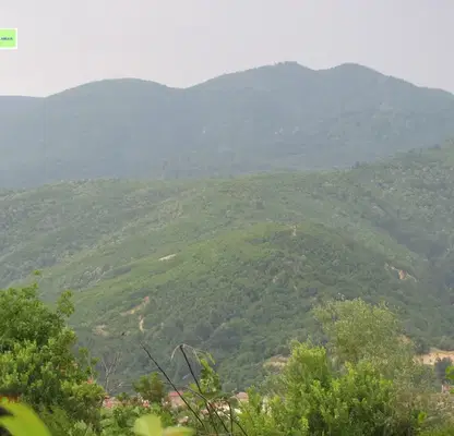 Photo 4 — Plot in Oblast Pazardjik, Peshtera