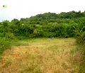 Снимка 5 — Парцел в Пазарджик, Пещера