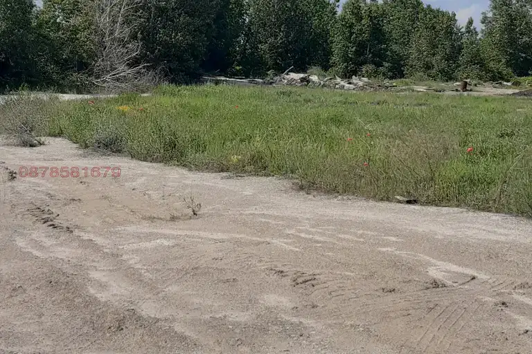 Парцел в Пазарджик, Септември