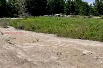 Парцел в Пазарджик, Септември