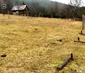 Снимка 3 — Парцел в Пазарджик, Велин