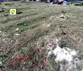 Снимка 2 — Парцел в Пазарджик, Велин