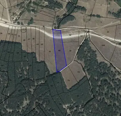Photo 2 — Plot in Oblast Pazardjik, Велин