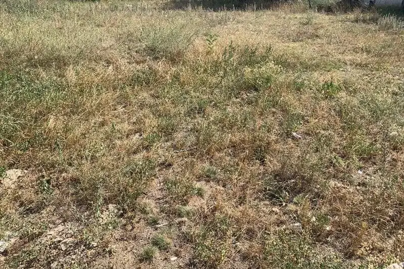 Парцел в Пазарджик, Велин
