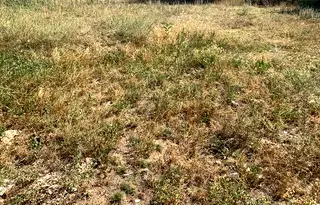 Парцел в Пазарджик, Велин