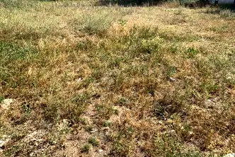 Парцел в Пазарджик, Велин