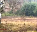 Снимка 3 — Парцел в Пазарджик, Велин