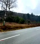 Парцел в Пазарджик, Велин