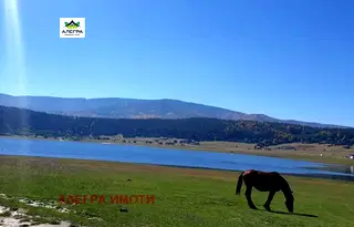 Парцел в Пазарджик, м-т Цигов чарк