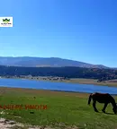 Парцел в Пазарджик, м-т Цигов чарк