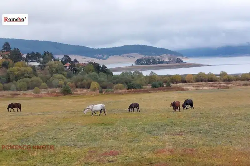 Plot in Oblast Pazardjik, м-т Цигов чарк