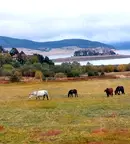 Парцел в Пазарджик, м-т Цигов чарк
