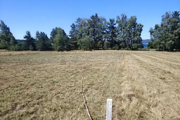 Plot in Oblast Pazardjik, м-т Цигов чарк