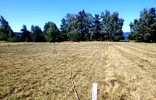 Парцел в Пазарджик, м-т Цигов чарк
