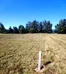 Парцел в Пазарджик, м-т Цигов чарк