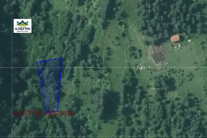 Plot in Oblast Pazardjik, яз. Батак