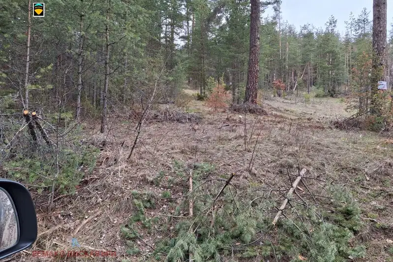Plot in Oblast Pazardjik, яз. Батак