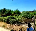 Снимка 5 — Парцел в Пазарджик, с. Аканджиево