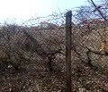Снимка 2 — Парцел в Пазарджик, с. Алеко Константиново
