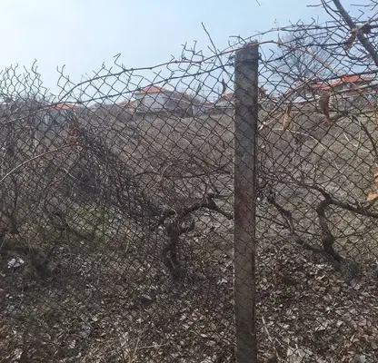 Снимка 2 — Парцел в Пазарджик, с. Алеко Константиново
