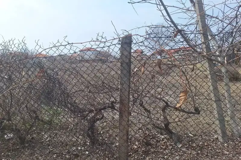 Парцел в Пазарджик, с. Алеко Константиново