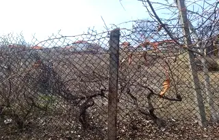 Парцел в Пазарджик, с. Алеко Константиново