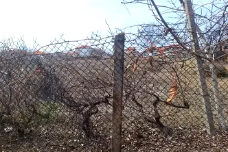 Парцел в Пазарджик, с. Алеко Константиново
