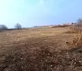 Снимка 2 — Парцел в Пазарджик, с. Алеко Константиново