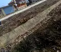 Снимка 4 — Парцел в Пазарджик, с. Алеко Константиново