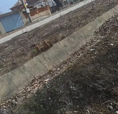 Снимка 4 — Парцел в Пазарджик, с. Алеко Константиново