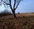 Снимка 5 — Парцел в Пазарджик, с. Алеко Константиново