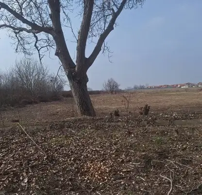 Снимка 5 — Парцел в Пазарджик, с. Алеко Константиново