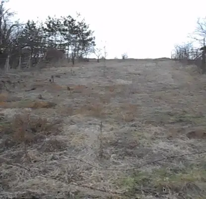Photo 2 — Plot in Oblast Pazardjik, Banya