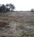 Парцел в Пазарджик, с. Баня