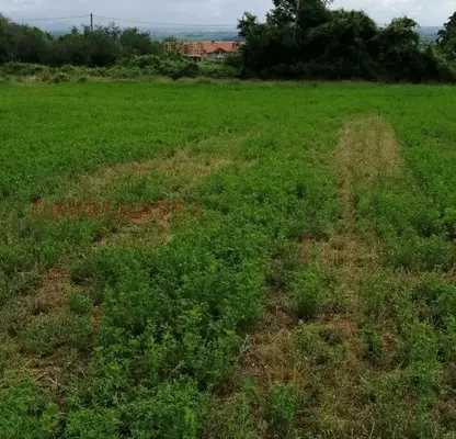 Photo 2 — Plot in Oblast Pazardjik, с. Црънча