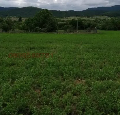 Photo 5 — Plot in Oblast Pazardjik, с. Црънча
