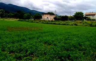 Парцел в Пазарджик, с. Црънча