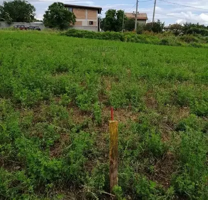Photo 2 — Plot in Oblast Pazardjik, с. Црънча
